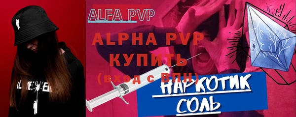 индика Беломорск