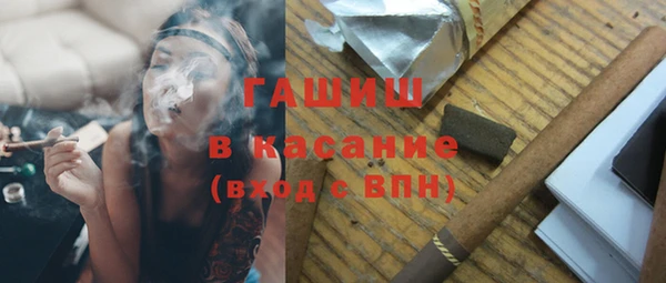 индика Беломорск