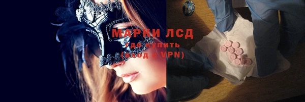 индика Беломорск