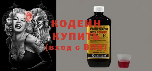 индика Беломорск