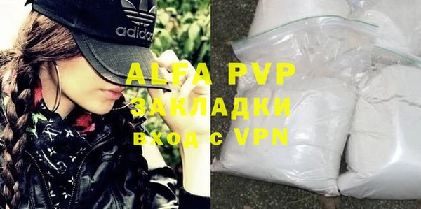 молекула духа Богданович